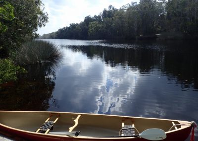 The canoe is waiting for you on the Noosa River by Alison Harris