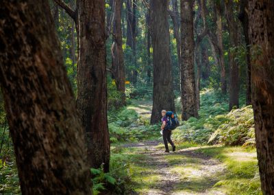 Border Trails by Ben Blanche