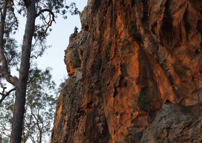 In the Eagles Nest by Catherine Droste