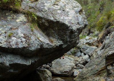 Northbrook Gorge Reflections by Catherine Droste