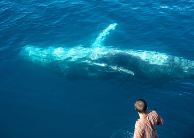 Up Close and Personal by Ellen Foulds