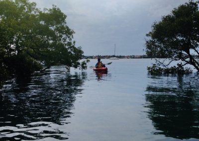 Paddle Coochie by Neville Clark