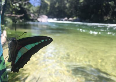 Blue Triangle at Mossman Gorge by Todd Samorowski