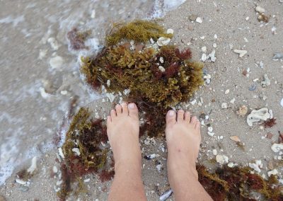 Leaving Footprints in the Sand by Rachel Kneubuhler