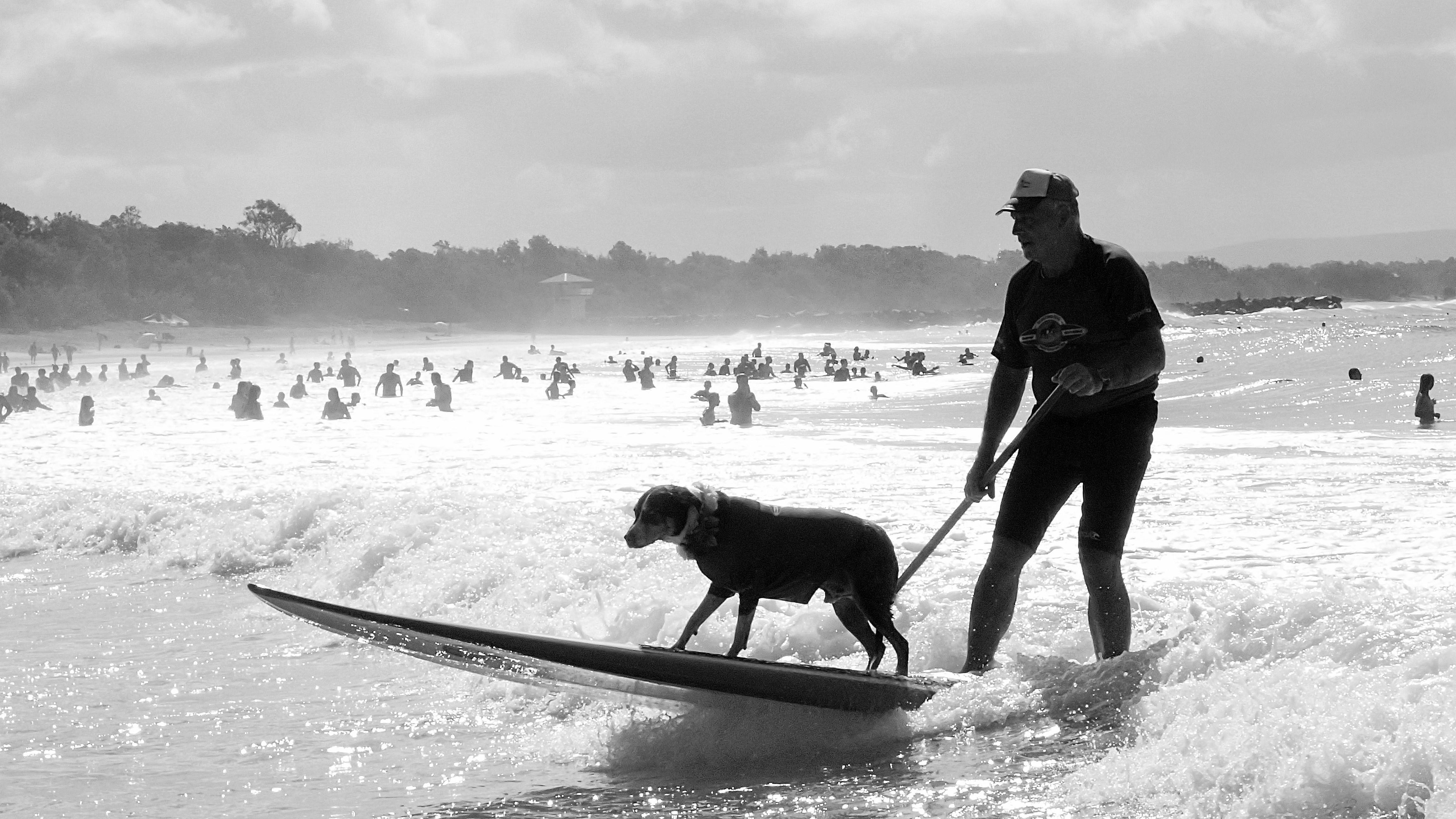 Surf Dog by Christian Botella